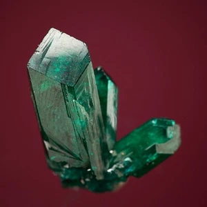 Dioptase Mindouli, Departamento de Piscina, República del Congo 1503-124 - Imagen 1 de 4