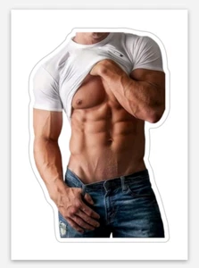 Sticker Stickers Hot Body Man 1.98"x3" Jeans Shirt Jockstrap Singlet 1651 - Picture 1 of 1