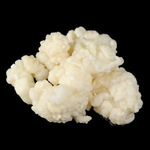 Granos de kéfir de leche viva orgánica de 10 g con instrucciones impresas - Imagen 1 de 1