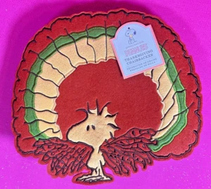 Pottery Barn Kids Peanuts~Woodstock as Turkey 11" Chair Backer New in Package! - Picture 1 of 6
