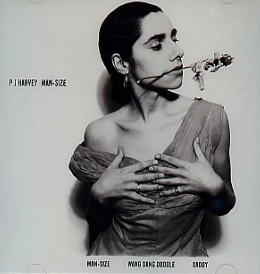 PJ Harvey Man Size , Wang Dang Doodle, Daddy US DJ CD EP Foto 1 de 1