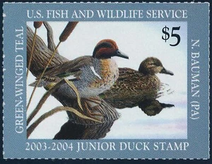 US JDS11 $5 2003 Junior Duck Stamp Green Winged Teal VF Original Gum - Picture 1 of 2