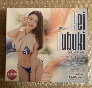 Nuevo Sellado HIT’S Japón Kei Fubuki Vol.2 Caja de Tarjetas Coleccionables Ídolo Japonés 6 Paquetes - Imagen 1 de 2
