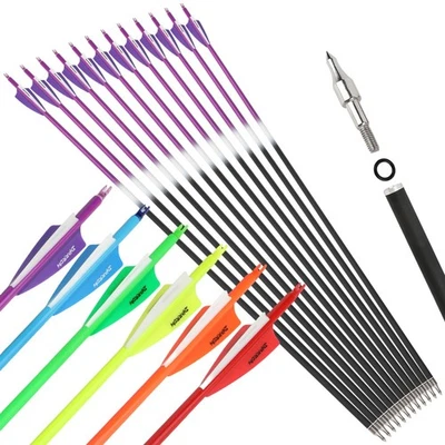 30" Carbon Arrow Vanes SP500 Archery Recurve Bow Compound Bow Field Tips Hunting - Image 1 of 4