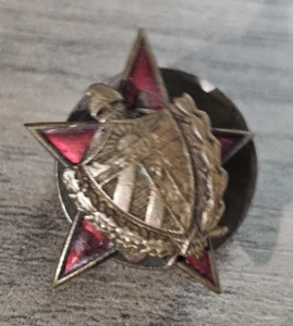 BAY SCHWEINE MUT ROTER STERN UNIFORM OKTOBER RAKETE KRISENOFFIZIER Medaille ORDEN - Bild 1 von 2