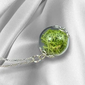 Grünes Moos Halskette - Terrarium 925 Sterling Silber Botanische Kette - K925-14 - Picture 1 of 10