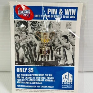 2009 AFL Grand Final Premiership Cup Pin Badge Souvenir Hawthorn On Card - Picture 1 of 4
