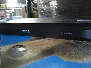 Dell PowerEdge 2162DS 16-Port KVM Server Console Switch DC4YG Keyboard Video PS2 - Afbeelding 1 van 2