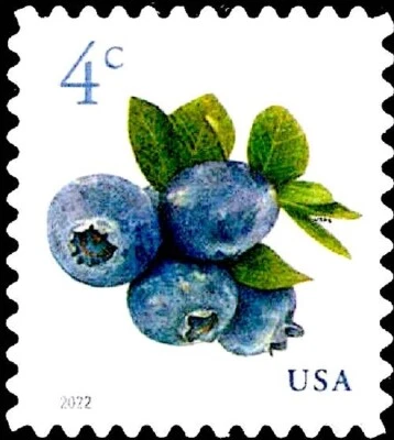 MINT Sheet of 20 BLUEBERRIES STAMPS Blueberry Fruit Antioxidants Health Benefits - Image 1 of 2