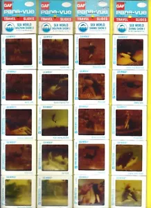 VINTAGE 1973 GAF PANA VIEW TRAVEL SLIDES SEA WORLD - SHAMU DOLPHINS SEAL MORE ! - Picture 1 of 2