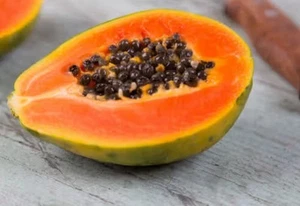 Papaya Plant : $59.99 Per Plant : Free Postage - Picture 1 of 5