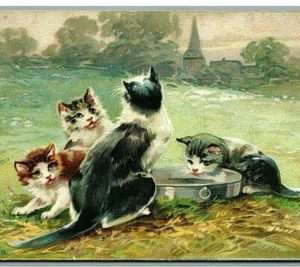 Lovely Mother Cat with Kittens Grass Woodland Trees Sunset Church Steeple 5532 - Picture 1 of 3