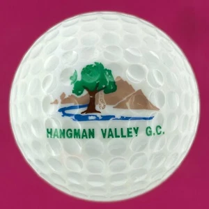 *RARE* Vintage PING Eye White & Purple HANGMAN VALLEY GC Golf Ball NEAR MINT - Picture 1 of 5