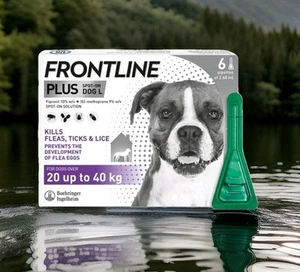 Frontline Plus Flea & Ticks Treatment For Larger Dog 20 - 40kg With 6 Pipettes - Picture 1 of 9