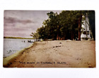 The Beach At Cambells Island 1908 Vintage Postcard Mississippi River Illinois