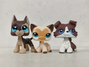 3 Stck./Posten Littlest Pet Shop Figur LPS Katze Hund #817#3573 Kinderspielzeug - Bild 1 von 6