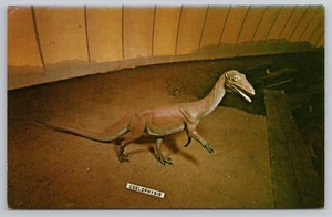 Cartolina vecchia cupola a pressione anni 60 Rocky Hill CT parco dinosauri esposizione celofisi - Foto 1 di 3