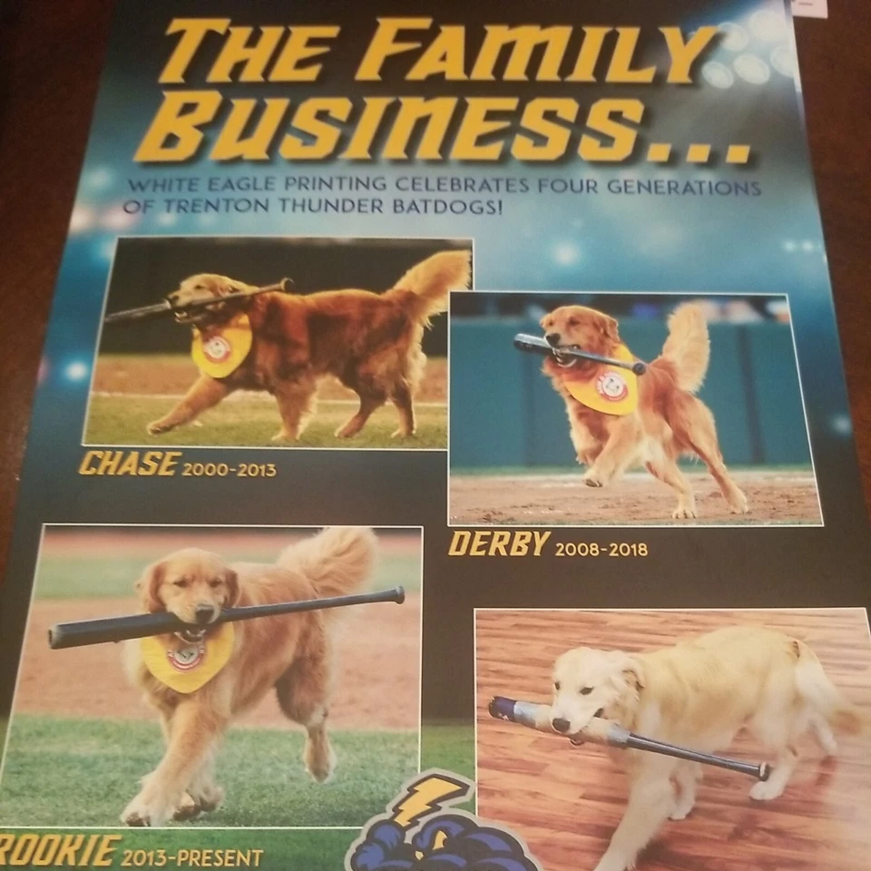 Trenton Thunder Bat Dog 8x10 Tarjeta Fotográfica SGA Promo 2022 Perros Sorteo Promoción  Foto 1 de 1