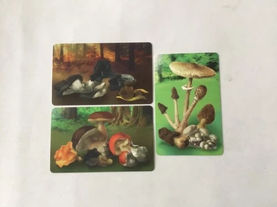 San Marino 3 Carte Téléphonique ..Neuf. I .Funghi. Champignon - Image 1 of 2