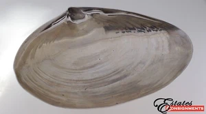 Wallace 393 Sterling Clam Shell Bowl - Picture 1 of 7