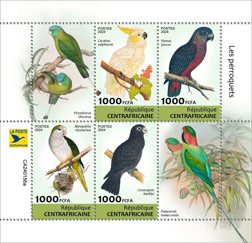 Parrots MNH Stamps 2024 Central African M/S - Image 1 of 1
