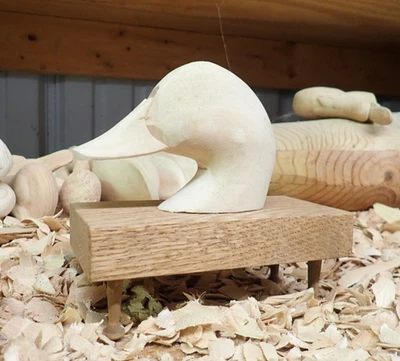 Cabezas señuelo superior de la bahía de Chesapeake sin terminar puntos negros Foto 1 de 4