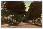 c1910's View Of Gambier St. Looking East Mt. Vernon Ohio OH Antique Postcard