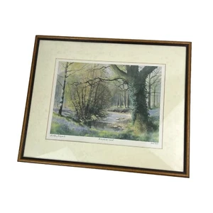 Framed Signed Limited Edition 164/850 Bluebell Wood Art Print By Ashley Bryant - Picture 1 of 11