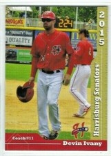 2015 Harrisburg Senators (Double-A Washington Nationals) Devin Ivany