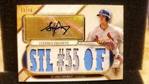 #/18🔥STEPHEN PISCOTTY🔥2017 Triple Threads Autograph Game Used Jersey Relic⚡️SP