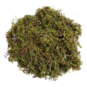 60g Artificial Moss Lichen Fake Preserved Simulation Green Plants Garden Patio - Picture 1 of 9