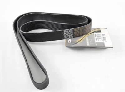 Cinturón Dayco Serpentine 10PK1715HD para Western Star 4800 4900 6900 Hecho en Italia Foto 1 de 3