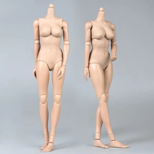 1/6 weiblicher Körper blasse/sonnenbraune Haut riesige Büste super flexible Actionfigur Spielzeug Modell - Bild 1 von 27