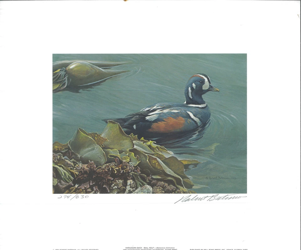 WASHINGTON #3 1988 DUCK STAMP PRINT MEDALLION ED BATEMAN + 2 stamps - Image 1 of 1
