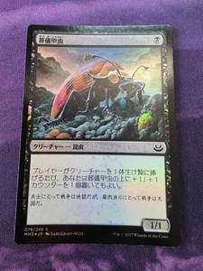 MTG Mortician Beetle Foil Japanese Modern Masters 2017 Card - Picture 1 of 1