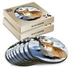 8 X Boxed Round Coasters - Winter Sun Ginger Fox Sunbathing #46460
