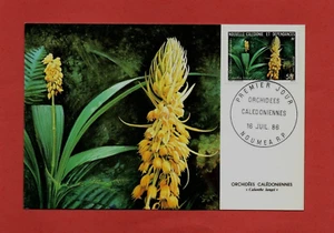 NOUMEA RP Maxicard ORQUÍDEAS CALEDONIENNES planta de flores silvestres naturaleza tropical - Imagen 1 de 2