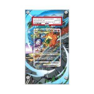 Charizard VSTAR SWSH262 Pokémon Extended PSA Artwork Protective Display Case - Picture 1 of 3