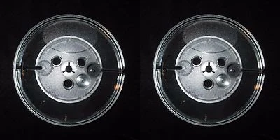 Carretes de recogida de cinta de audio carrete a carrete de 5" de plástico en blanco de 1/4" paquete de 2 EE. UU. NOS Foto 1 de 4