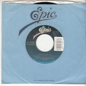 THE ALLMAN BROTHERS BAND - GOOD CLEAN FUN - ORIGINAL EPIC 45 - GREAT SHAPE - Picture 1 of 2