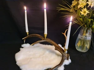 Handmade genuine naturally shed Red Deer Large Antler Candle Holder - Picture 1 of 7