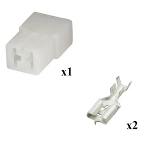 Kit Connettore Series 250 Faston 6,3 Maschio 2 Vie - Picture 1 of 1