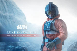STAR WARS E5 - LUKE SKYWALKER ROGUE SNOWSPEEDER PILOT HOTH ACTIONFIGUR SIDESHOW - Bild 1 von 14