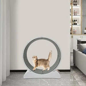 Rueda para gatos Rueda para gatos Rueda para gatos con bloqueo 10 kg / 22,05 lbs - Imagen 1 de 24