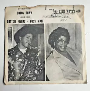Raymond Hill, Lillie Hill, Going Down, RARE 45! Rocket 88 sax man, High Water PS - Picture 1 of 5