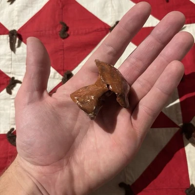 Vintage Handmade Mini Ceramic Mushroom Decor Brown Cute Hippie As Is Worn Studio - Image 1 of 4