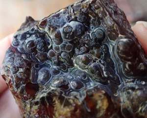 Botryoidal Fossil Coral Geode Fragment GA Agate Specimen Collection Gem WC41 - Picture 1 of 7