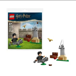 LEGO Harry Potter Lezione di Quidditch Polisacco 30706 - Foto 1 di 3