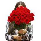 24 Red Roses - Farm Fresh Delivery To Your Door - Freshness Guarantee