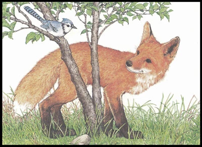 Greeting Card - Bird Fox - Bill Stroble - Birthday 0549 - Image 1 of 2
